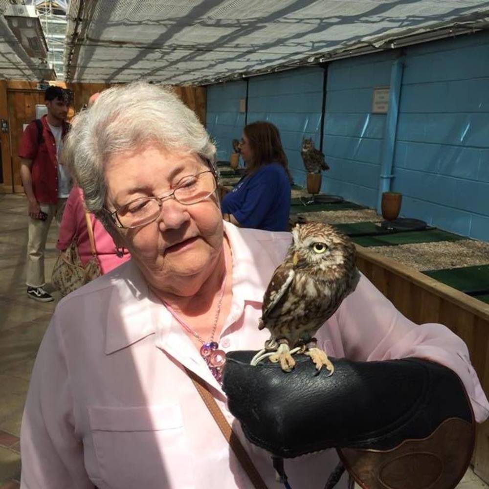 Meet your Posher, Pam